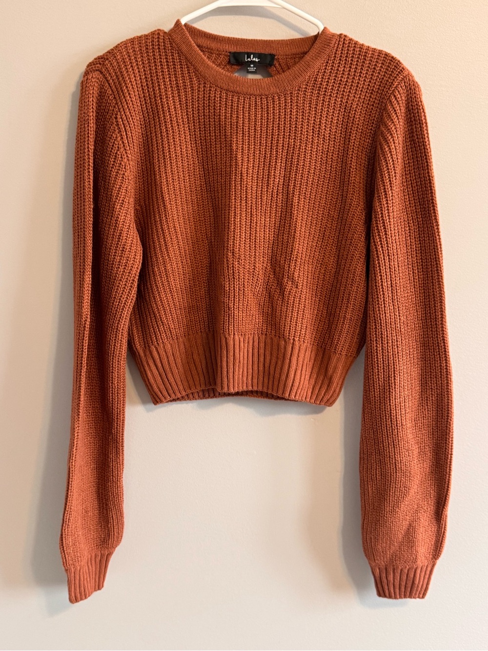 Lulus Rust Open Back Cropped Knit Sweater Medium